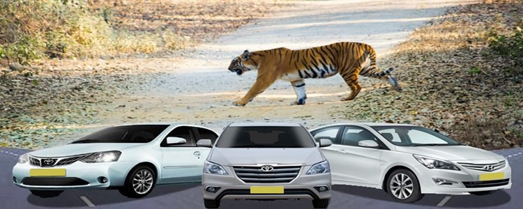 jim corbett national park taxi services